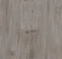 Blanched Pine