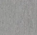 Neutral Grey