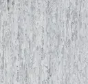 White Grey