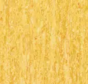 Yellow Mustard