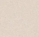 Medium Cool Beige