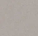 Clay Grey