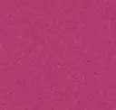 Fuschia