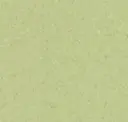 Green Olive
