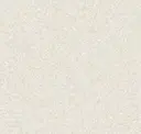 Light Cool Beige
