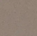 Dark Clay Grey