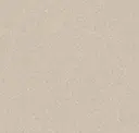 Medium Warm Beige