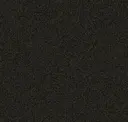 Black Bird