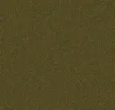 Dark Olivine