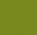 Green Anjou