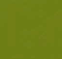 Lime Zest