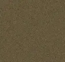 Peat Moss
