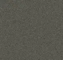 Steel Wool
