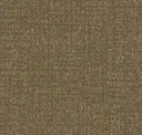 Bark Scribe