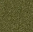 Field Report