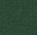 Oregon Fir
