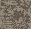Brushwood