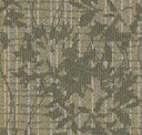 Gamma Grass