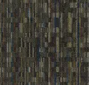 Varicolor