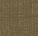 Bark Scribe