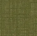 Field Report