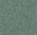 Eucalyptus