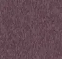 Lavender Fields
