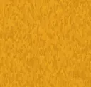 Sun Gold