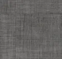 Ebony Gray