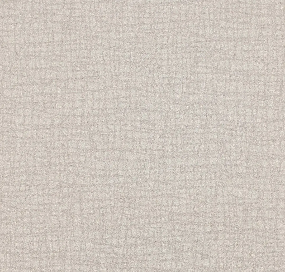 Main