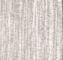 Shitake