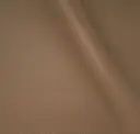 Biscuit