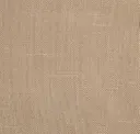 Canvas Tan