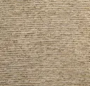 Oat Grain