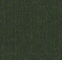 Arugula