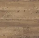 Lynx