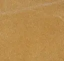 15 Camel