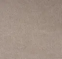 03 Warm Grey