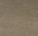 07 Olive