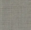 Warm Grey