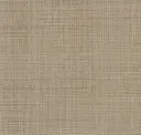 Neutral Ground