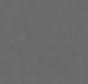 Elephant Grey
