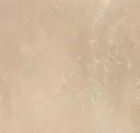 Barely Beige