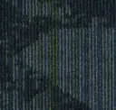Advisor