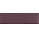 Aubergine