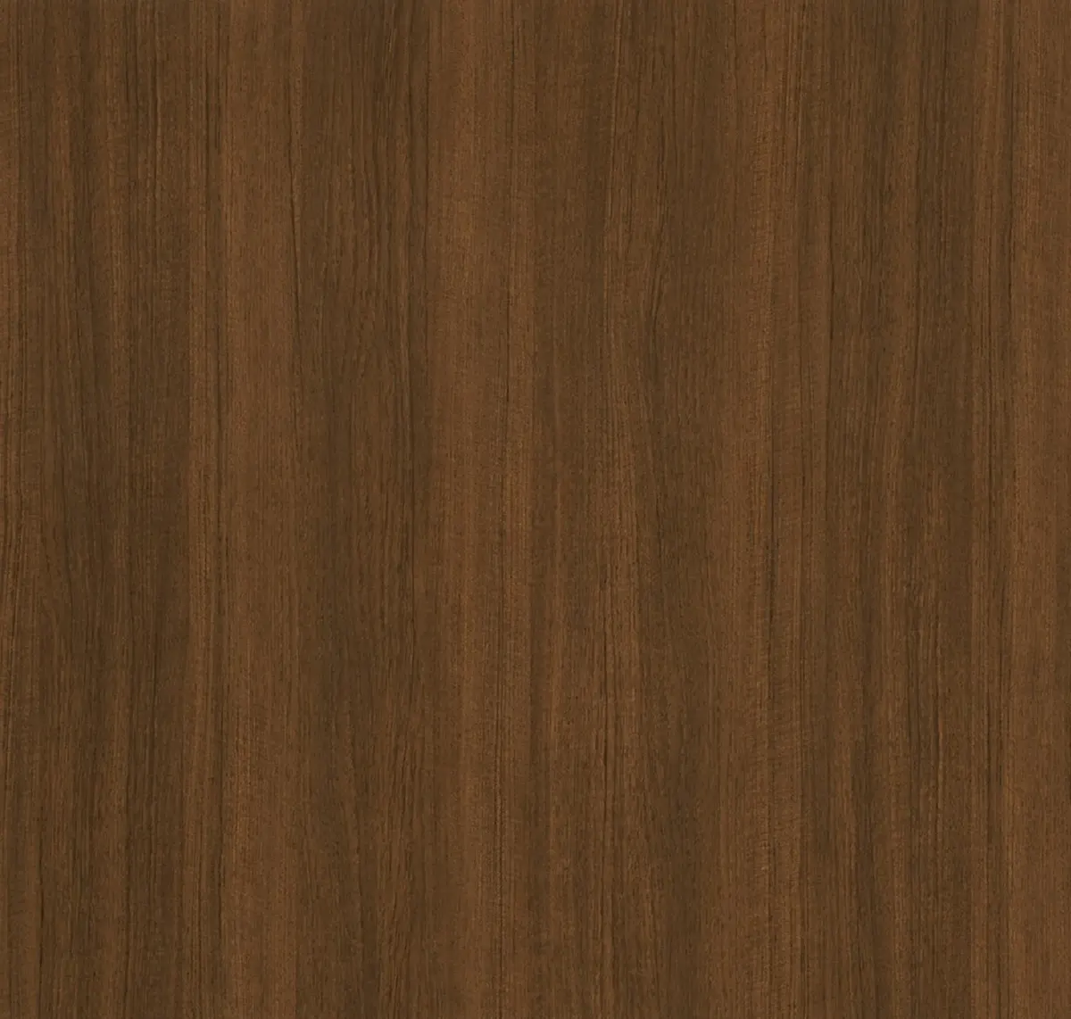 Main