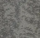 Seed