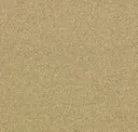Golden Oak
