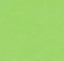 Pea Shoot