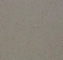 Tawny Gray